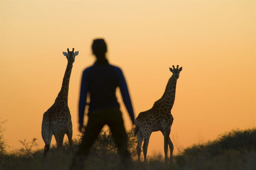 Kubu Safari Lodge Ходспруит Екстериор снимка